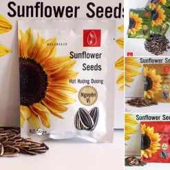 [SIÊU HOT] Hướng dương nguyên vị gói 55g