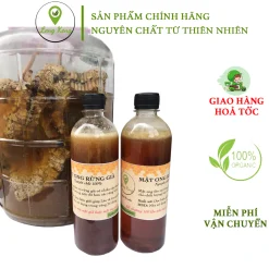 Mật Ong Rừng Già Thuần Tự Nhiên LengKengFarm - Không Phải Ong Nuôi, Không Pha Tạp Chất- Mật Ong Hoa Nhãn- Mật Ong C