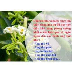 Hoa Đu Đủ Đực SẤY LẠNH Ngâm Mật Ong Rừng Campuchia - Mật Ong Nhãn - Hoa Cà Phê Hũ 500gr