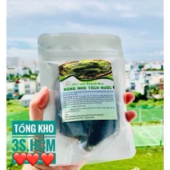 Rong Nho Tách Nước KHÁNH HÒA - NHA TRANG - Công Nghệ Tách Nước Tiêu Chuẩn Nhật Bản (gói 25g / 100g) ăn kèm xốt