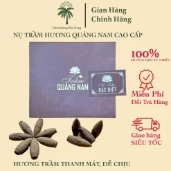 Trầm Hương Quảng Nam Hộp Giấy, Hộp 40 Nụ Trầm Hương Quảng Nam Cao Cấp Không Hoá Chất Dùng Thờ Cúng