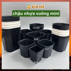 Chậu nhựa vuông cứng đen trắng mini trồng cây sen đá và xương rồng bonsai nhiều size, 5x5, 7x7, 9x9, 11x10,Vỉa Hè