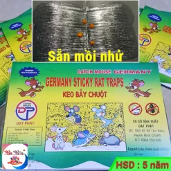 [Keo XỊN] Keo dính chuột Siêu Dính (có mồi) | Miếng keo dán chuột | Miếng bẫy chuột