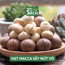 Hạt Macca Lâm Đồng Size A 500g – Sấy Lạnh Cao Cấp Nhà Trồng Di Linh, Béo Bùi, Cam Kết Không Hôi Dầu | Nông Sản Sạch