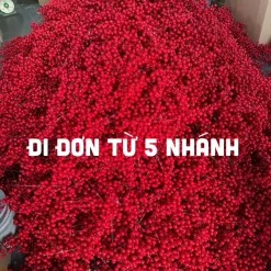 Nhánh đào đông trang trí tết phụ kiện đào đông 12 quả trang trí oản tài lộc, giỏ quà bó hoa