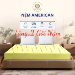 Nệm cao su non American cao 10cm chính hãng , êm ái , đàn hồi tốt , thoáng khí - ( Tặng 2 Gối Nằm )
